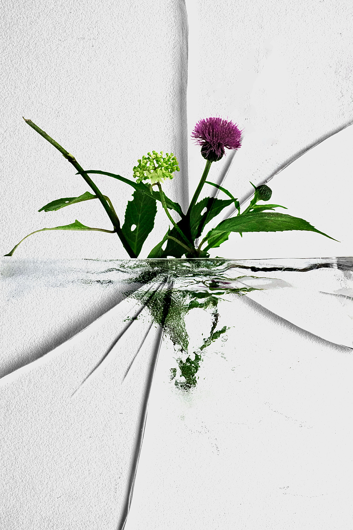 Can Moment Last Forever? #001 Can Moment Last Forever? #001