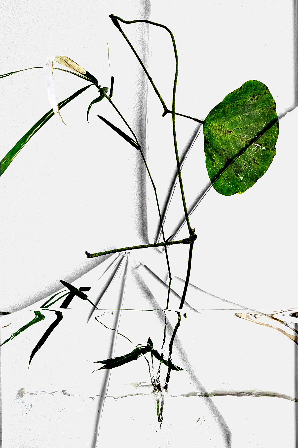 Can Moment Last Forever? #003 Can Moment Last Forever? #003