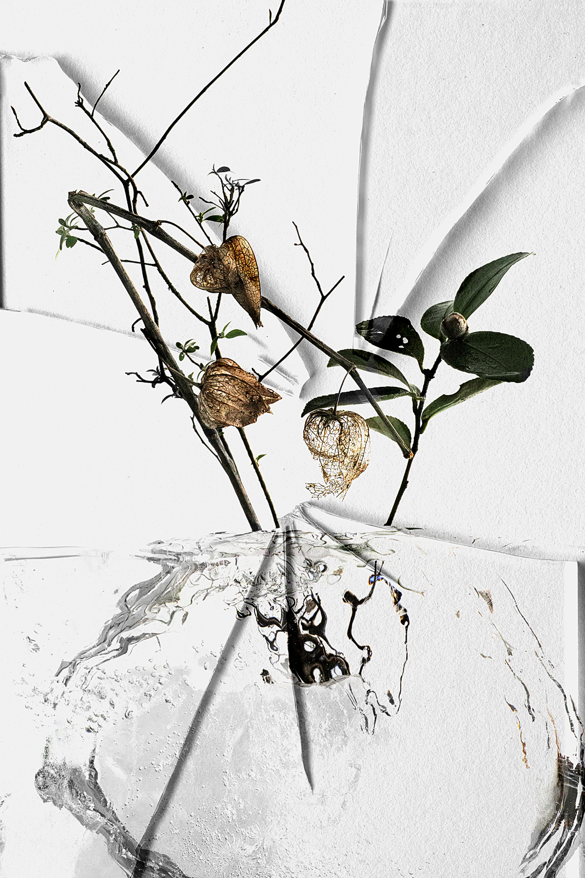 Can Moment Last Forever?#005 Can Moment Last Forever?#005