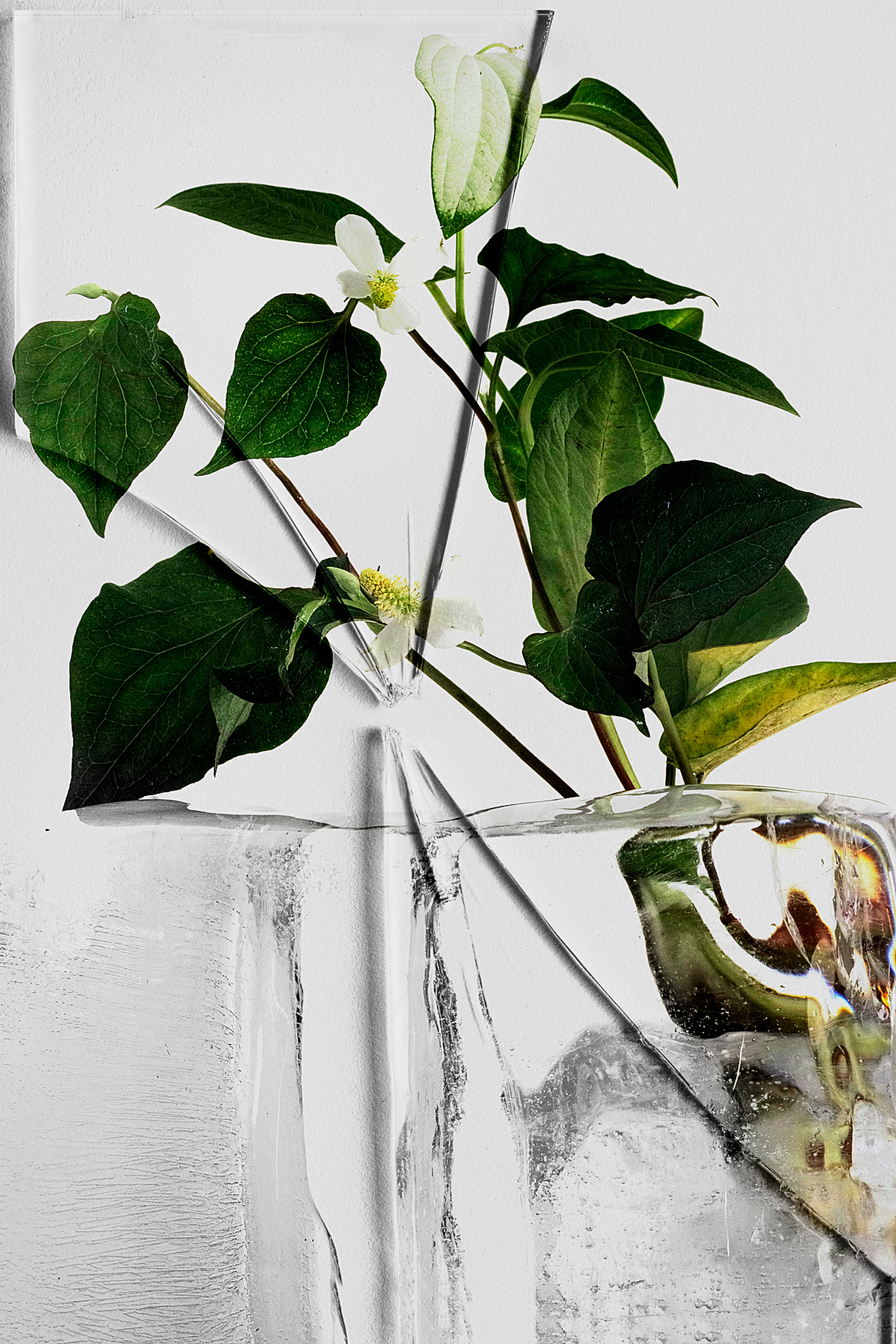 Can Moment Last Forever?#007 Can Moment Last Forever?#007