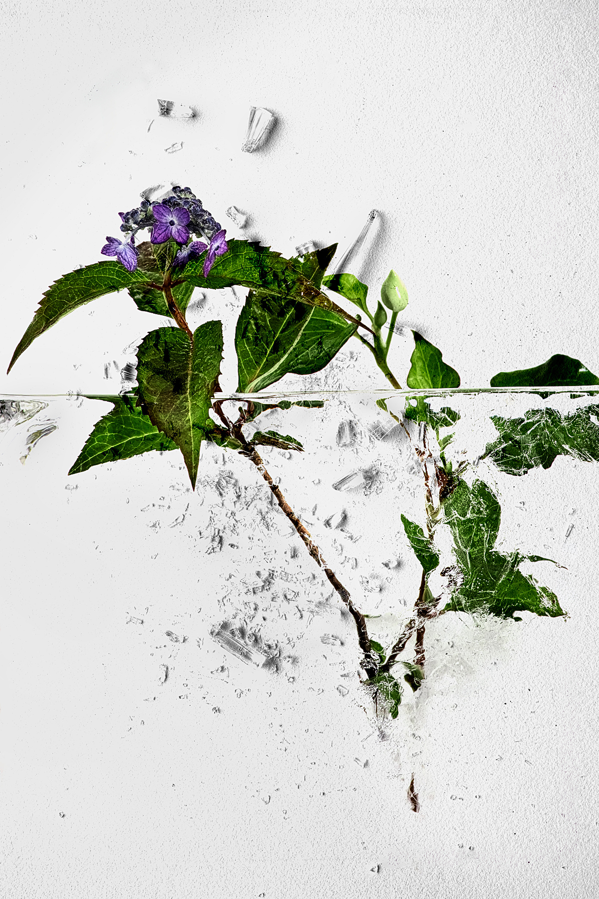 Can Moment Last Forever?#009 Can Moment Last Forever?#009