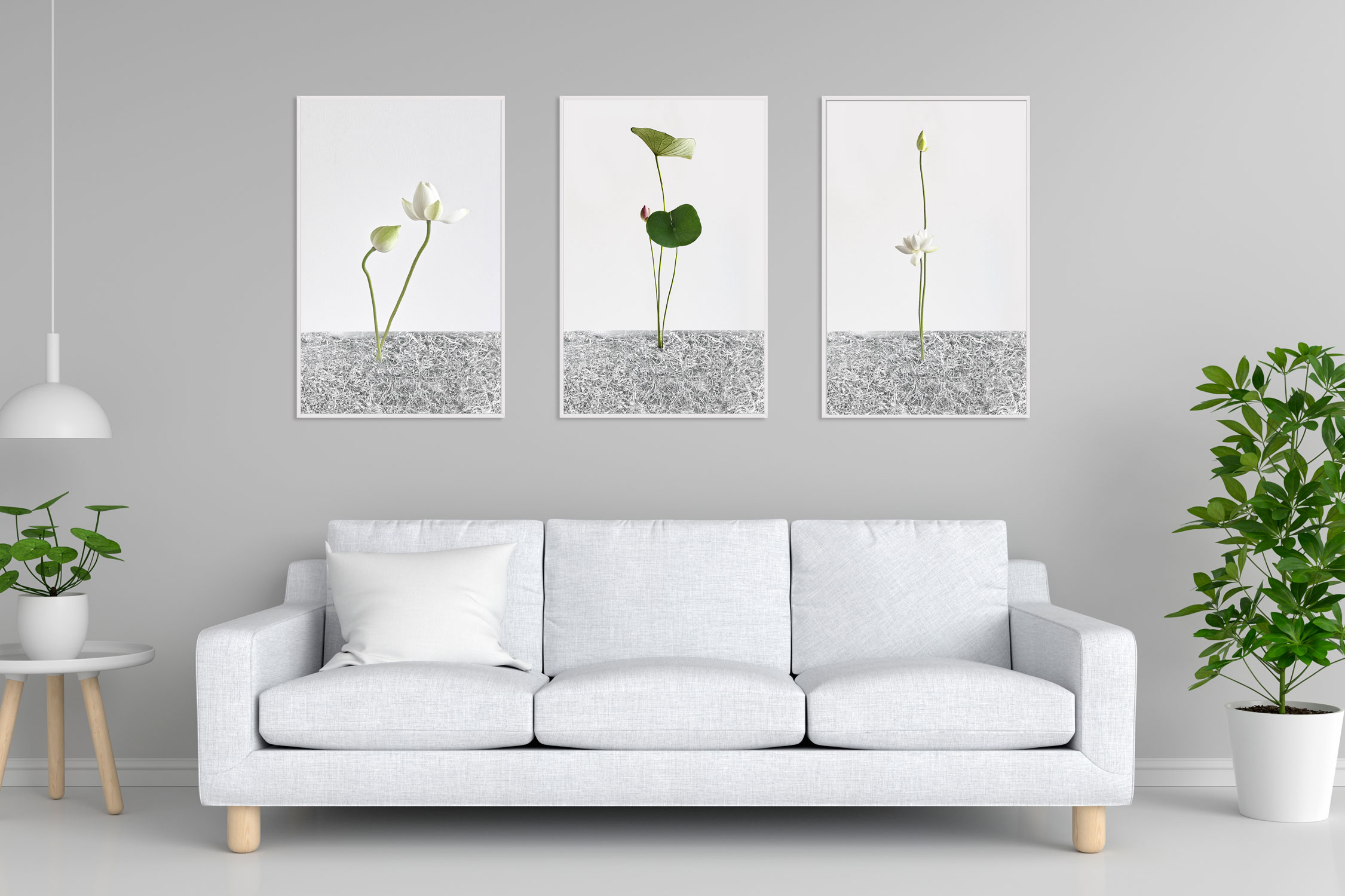 room image created by jcomp - www.freepik.com